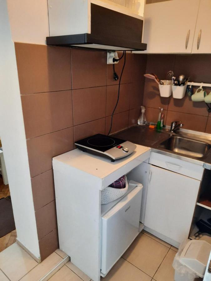 Apartmani Biljana Lazic Vrnjačka Banja المظهر الخارجي الصورة