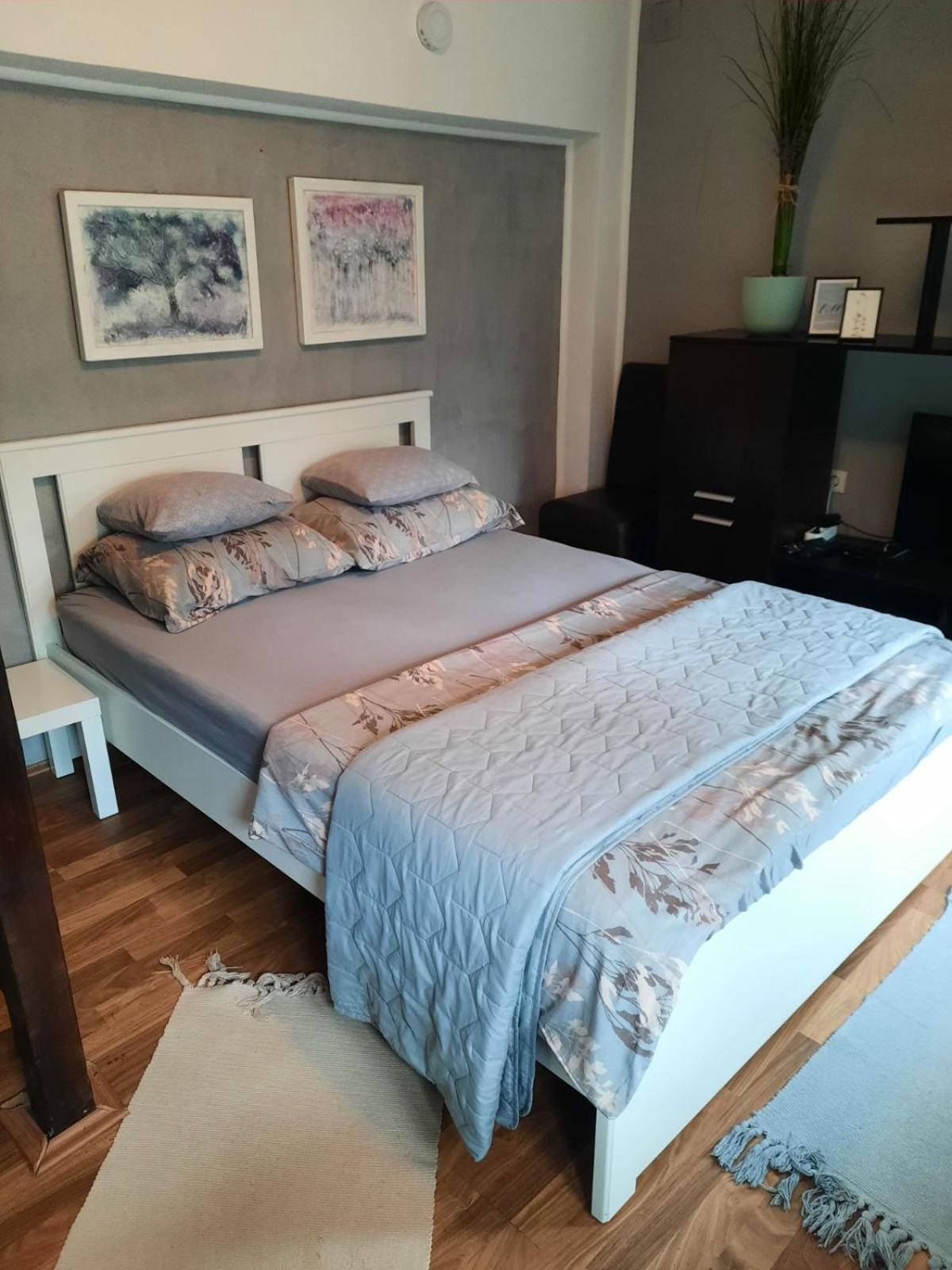 Apartmani Biljana Lazic Vrnjačka Banja المظهر الخارجي الصورة