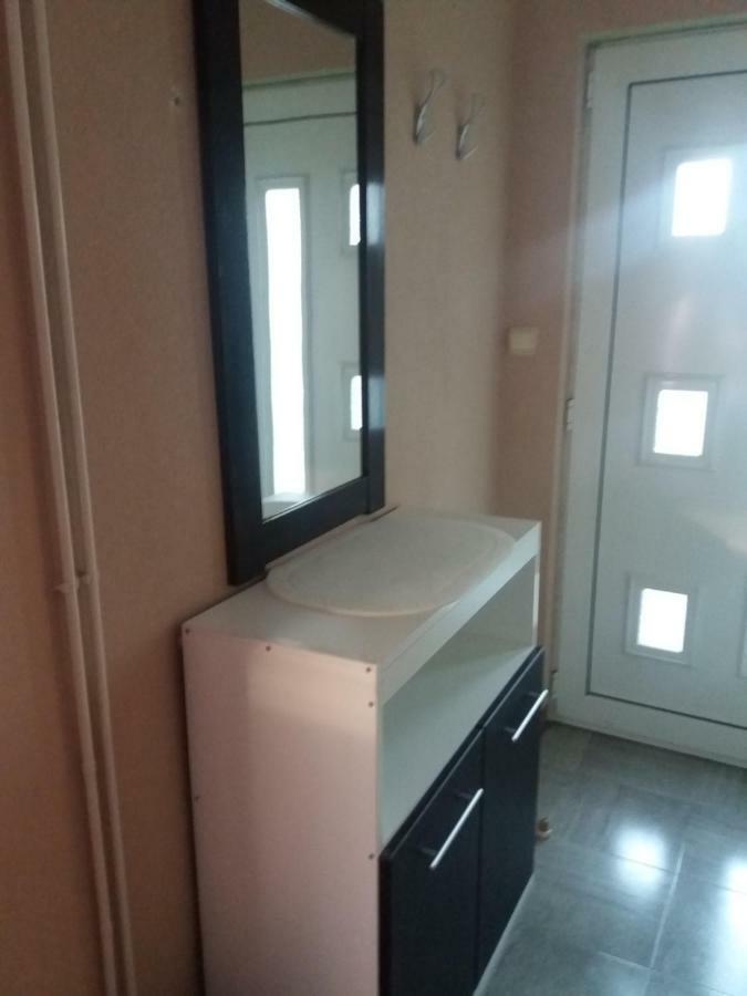 Apartmani Biljana Lazic Vrnjačka Banja المظهر الخارجي الصورة